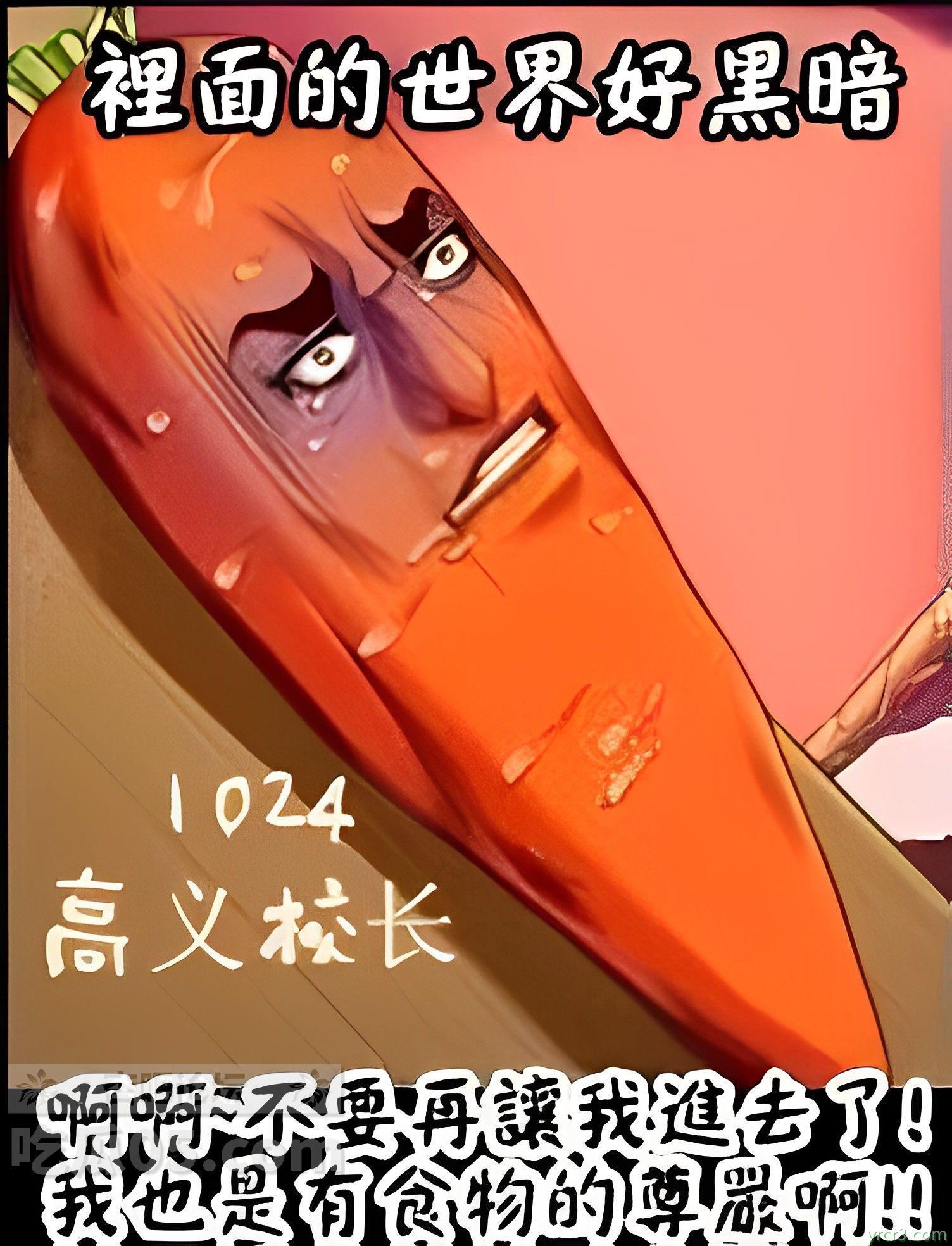 10016.jpg